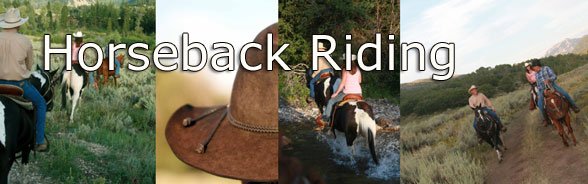 Park City Horseback Rides