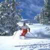 Ski Park City